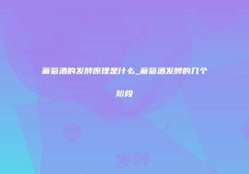葡萄酒的发酵原理是什么_葡萄酒发酵的几个阶段