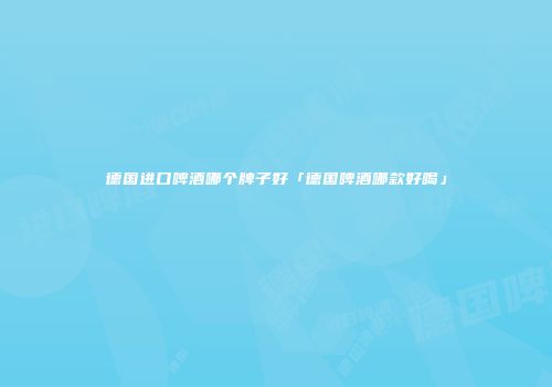 德国进口啤酒哪个牌子好「德国啤酒哪款好喝」