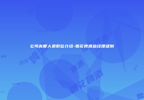 公司高管人员职位介绍-雪花啤酒总经理级别