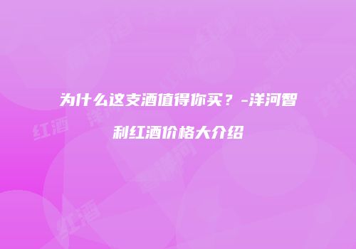 为什么这支酒值得你买？-洋河智利红酒价格大介绍