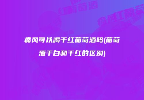 痛风可以喝干红葡萄酒吗(葡萄酒干白和干红的区别)