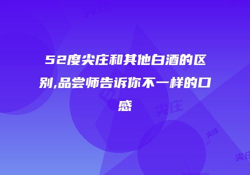 52度尖庄和其他白酒的区别,品尝师告诉你不一样的口感