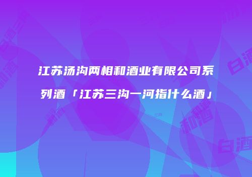 江苏汤沟两相和酒业有限公司系列酒「江苏三沟一河指什么酒」