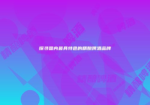探寻国内最具特色的精酿啤酒品牌