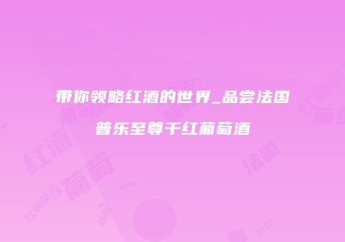 带你领略红酒的世界_品尝法国普乐至尊干红葡萄酒