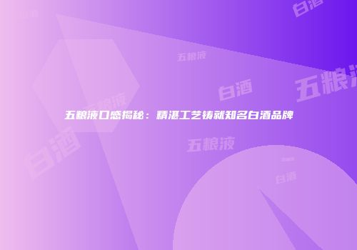 五粮液口感揭秘：精湛工艺铸就知名白酒品牌