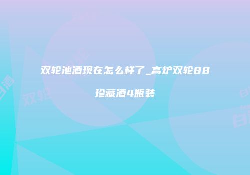 双轮池酒现在怎么样了_高炉双轮88珍藏酒4瓶装