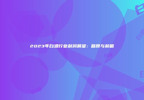 2023年白酒行业利润展望：回顾与前瞻