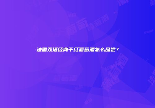 法国双塔经典干红葡萄酒怎么品尝？