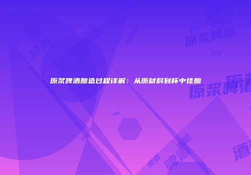 原浆啤酒酿造过程详解：从原材料到杯中佳酿