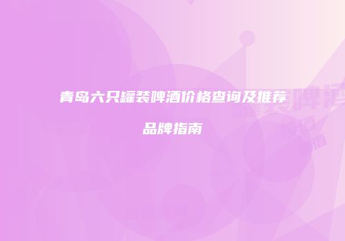 青岛六只罐装啤酒价格查询及推荐品牌指南