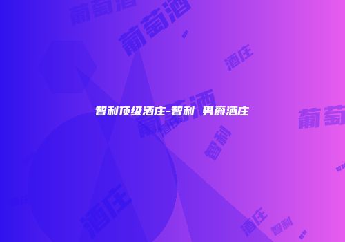 智利顶级酒庄-智利 男爵酒庄