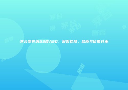 茅台贵宾酒53度A30：酱香佳酿，品质与价值并重