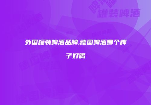 外国罐装啤酒品牌,德国啤酒哪个牌子好喝