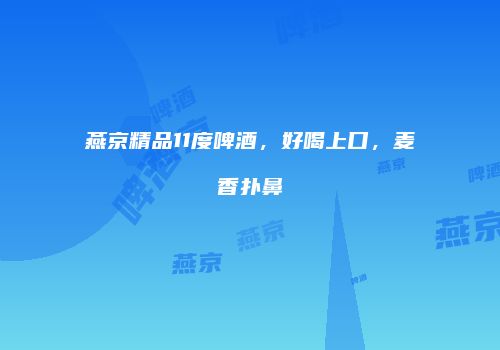 燕京精品11度啤酒，好喝上口，麦香扑鼻