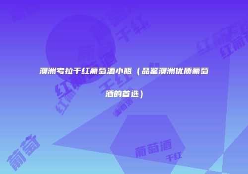 澳洲考拉干红葡萄酒小瓶（品鉴澳洲优质葡萄酒的首选）