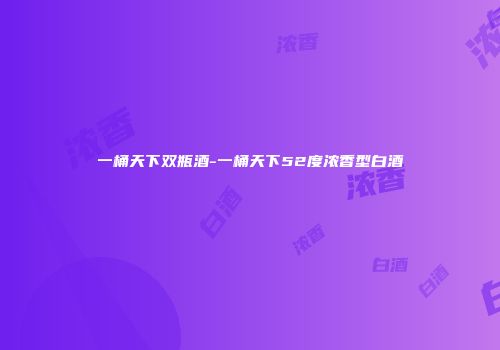 一桶天下双瓶酒-一桶天下52度浓香型白酒