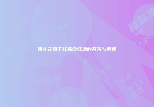 风车花园干红品尝红酒的芬芳与醇香