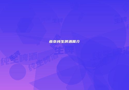 燕京纯生啤酒简介