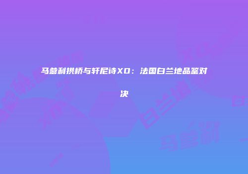 马爹利拱桥与轩尼诗XO：法国白兰地品鉴对决