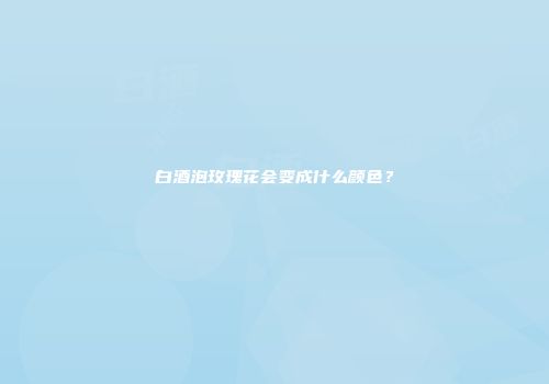 白酒泡玫瑰花会变成什么颜色？