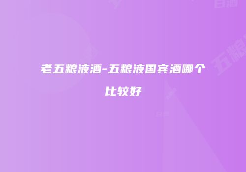 老五粮液酒-五粮液国宾酒哪个比较好