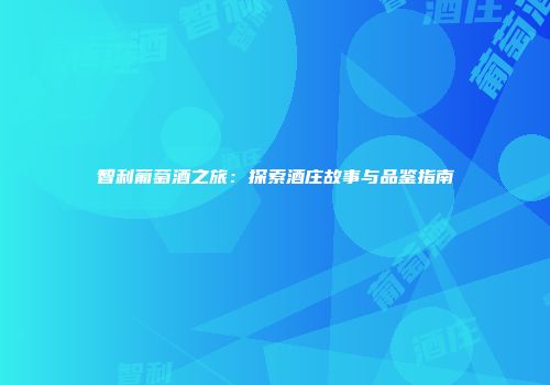 智利葡萄酒之旅：探索酒庄故事与品鉴指南