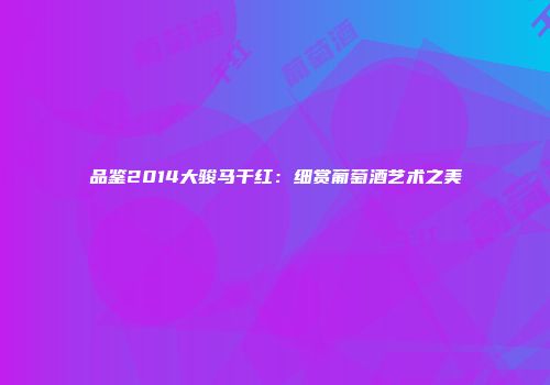 品鉴2014大骏马干红：细赏葡萄酒艺术之美