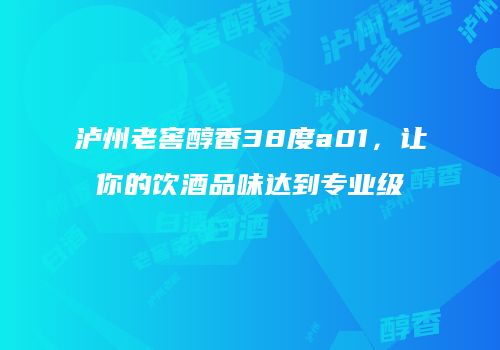 泸州老窖醇香38度a01，让你的饮酒品味达到专业级