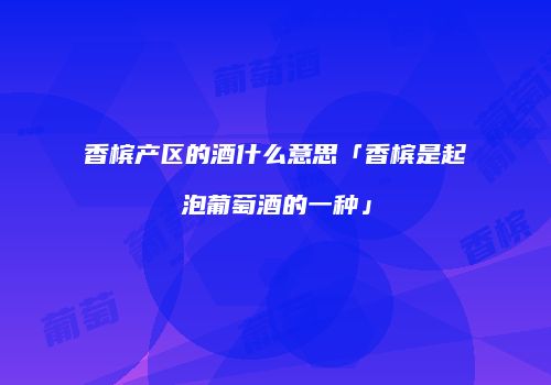 香槟产区的酒什么意思「香槟是起泡葡萄酒的一种」