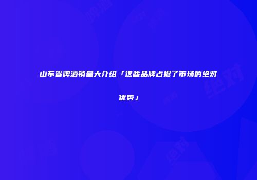 山东省啤酒销量大介绍「这些品牌占据了市场的绝对优势」
