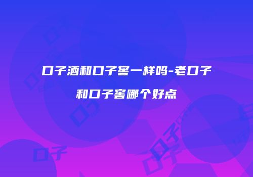 口子酒和口子窖一样吗-老口子和口子窖哪个好点