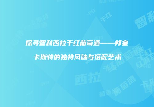 探寻智利西拉干红葡萄酒——邦塞卡斯特的独特风味与搭配艺术
