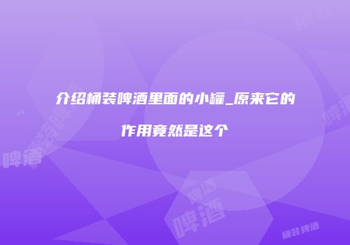介绍桶装啤酒里面的小罐_原来它的作用竟然是这个