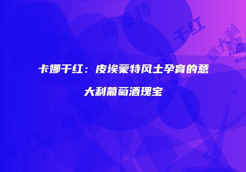 卡娜干红：皮埃蒙特风土孕育的意大利葡萄酒瑰宝