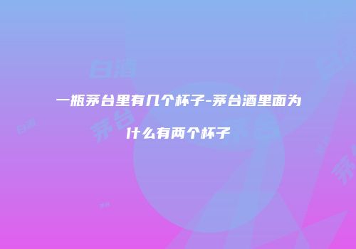 一瓶茅台里有几个杯子-茅台酒里面为什么有两个杯子