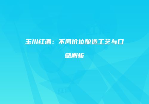玉川红酒：不同价位酿造工艺与口感解析