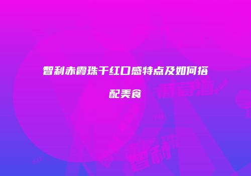 智利赤霞珠干红口感特点及如何搭配美食