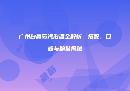 广州白葡萄汽泡酒全解析：搭配、口感与酿造揭秘
