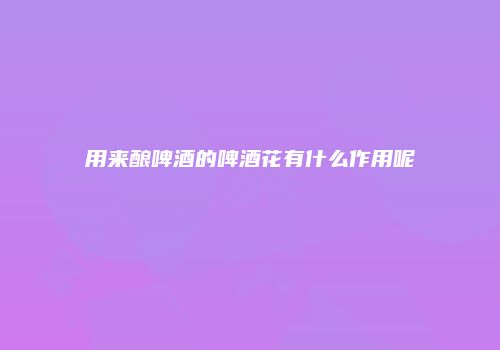 用来酿啤酒的啤酒花有什么作用呢