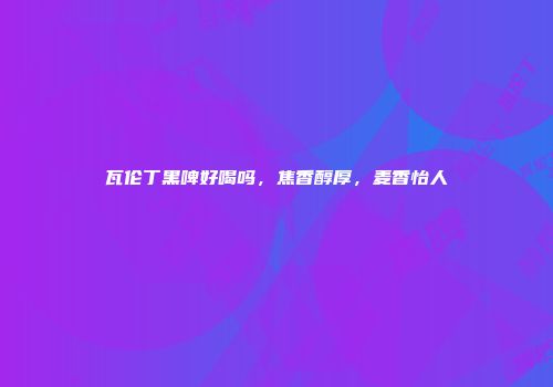 瓦伦丁黑啤好喝吗，焦香醇厚，麦香怡人