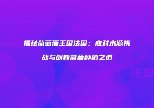 揭秘葡萄酒王国法国：应对水源挑战与创新葡萄种植之道