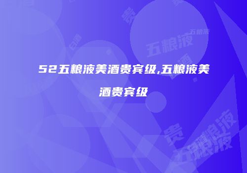 52五粮液美酒贵宾级,五粮液美酒贵宾级