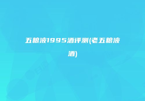 五粮液1995酒评测(老五粮液酒)