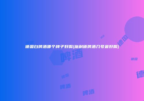 德国白啤酒哪个牌子好喝(施耐德啤酒几号最好喝)