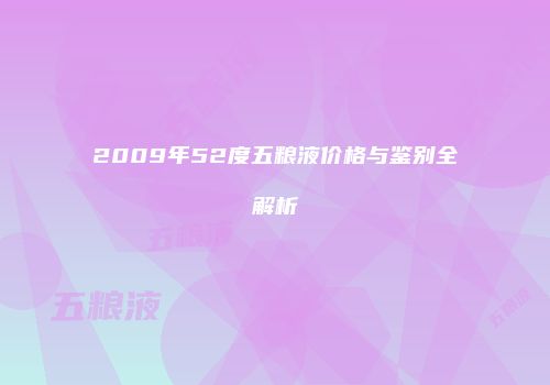 2009年52度五粮液价格与鉴别全解析