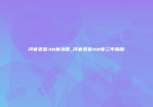 河套老窖38度浓香_河套老窖48度三年陈酿