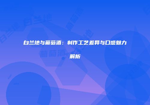 白兰地与葡萄酒：制作工艺差异与口感魅力解析