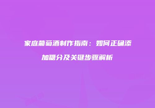 家庭葡萄酒制作指南：如何正确添加糖分及关键步骤解析