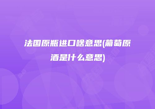 法国原瓶进口啥意思(葡萄原酒是什么意思)